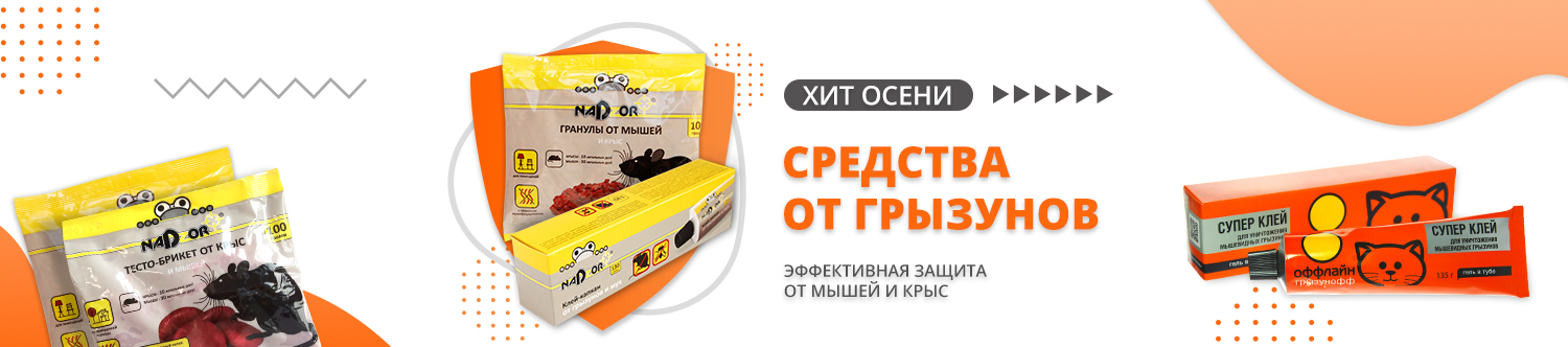 Дождевики