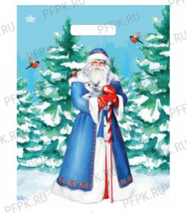 НГ ГЛЯНЕЦ проруб. 31х40+3 (60 мкм) ПВД, ТИКО Новогодний гость [50/500]