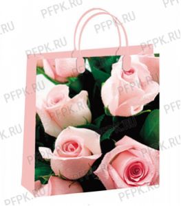 Сумочка из мягкого пластика 01 (26х23х10) малая BAS-17 (Розы) [20/200]
