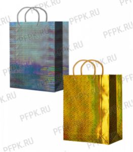 Сумочка гол. XLG (324x445x102) XLG 511/512 [10/200]