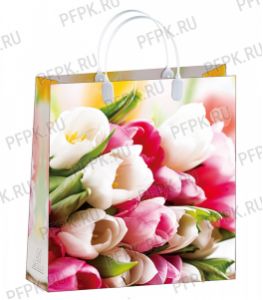 Сумочка из мягкого пластика 02 (30х30х10) средняя BАМ-146 (Тюльпаны) [20/200]