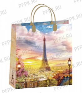 Сумочка из мягкого пластика 02 (30х30х10) средняя BАМ-169 (Париж) [20/200]