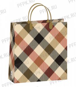 Сумочка из мягкого пластика 02 (30х30х10) средняя BАМ-199 (Клетка) [20/200]