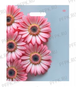 ЯНТАРЬ, вырубная ручка, 38х45+3 (60мкм) ламинат, ТИКО Герберы Шанис [50/500]